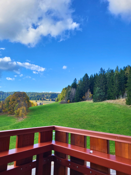 Blick von einem Balkon auf eine grüne Wiese und bewaldete Hügel unter blauem Himmel.