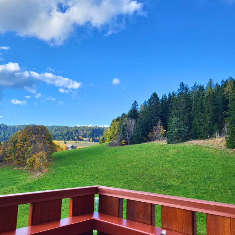 Balkon Ferienwohnung Rothirsch Blick auf eine grüne Wiese mit Bäumen und blauem Himmel mit Wolken.
