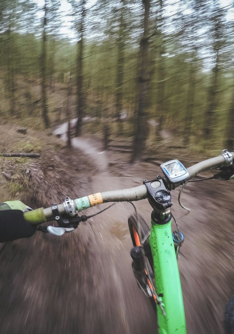 Grüner Fahrradlenker auf einem Waldweg mit unscharfem Hintergrund.