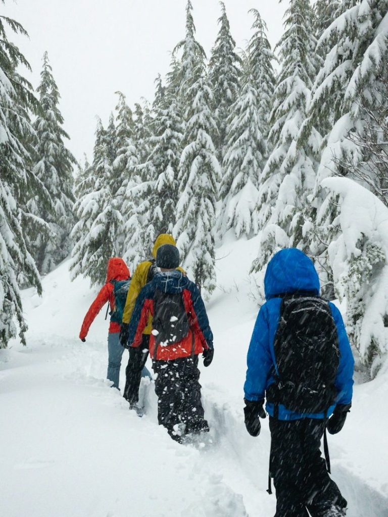 Winterwanderung im Wald Fünf Wanderer in Winterkleidung gehen durch eine verschneite Waldlandschaft.