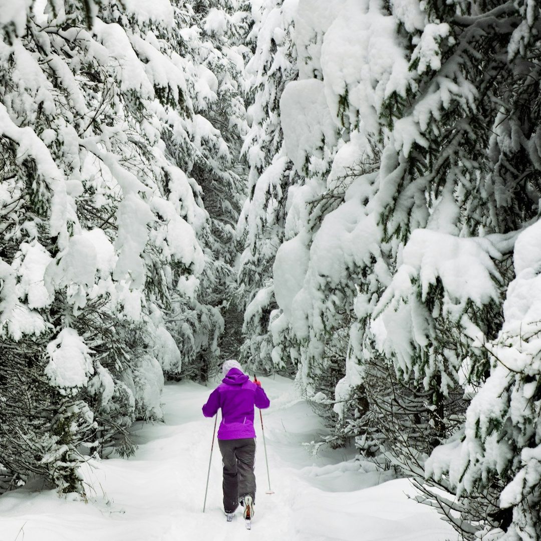 Person mit lila Jacke geht durch schneebedeckten Waldweg.