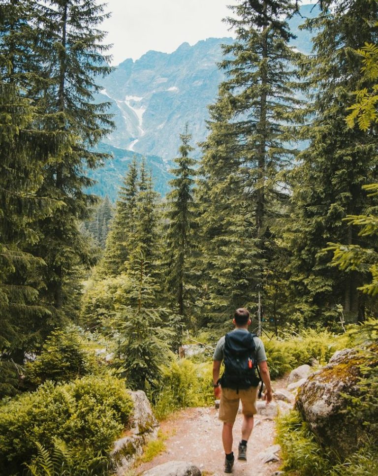 Wandern Wanderer auf einem Pfad durch einen bewaldeten Bergwald mit Blick auf die Berge.