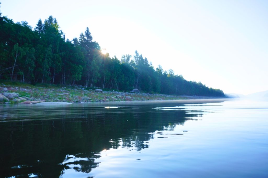 Ruhiger See mit bewaldetem Ufer und sanfter Morgendämmerung.