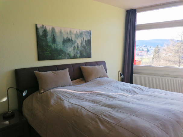 Helles Schlafzimmer mit Bett, zwei Kissen und Landschaftsbild an der Wand.