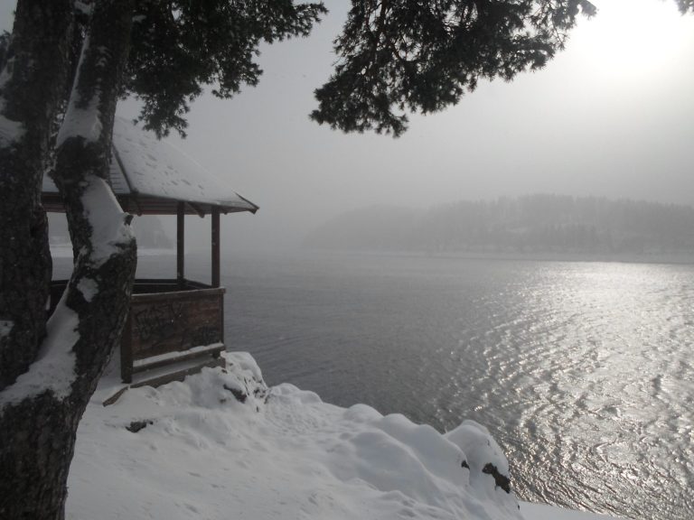 Winterstimmung am Schluchsee Schneebedeckte Uferlandschaft mit Wasser und einem Nebel verhangenen Himmel.