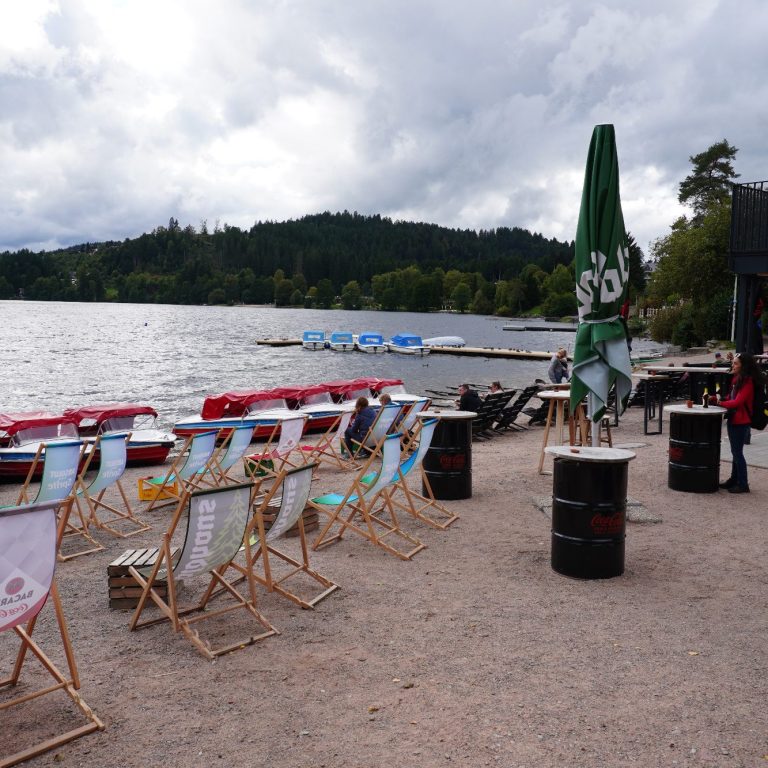 Titisee-Ufer Stuhlreihe am Seeufer, mit Wolken und Bäumen im Hintergrund.